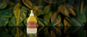 Refil Óleo Trifásico Desodorante Corporal Ekos Castanha