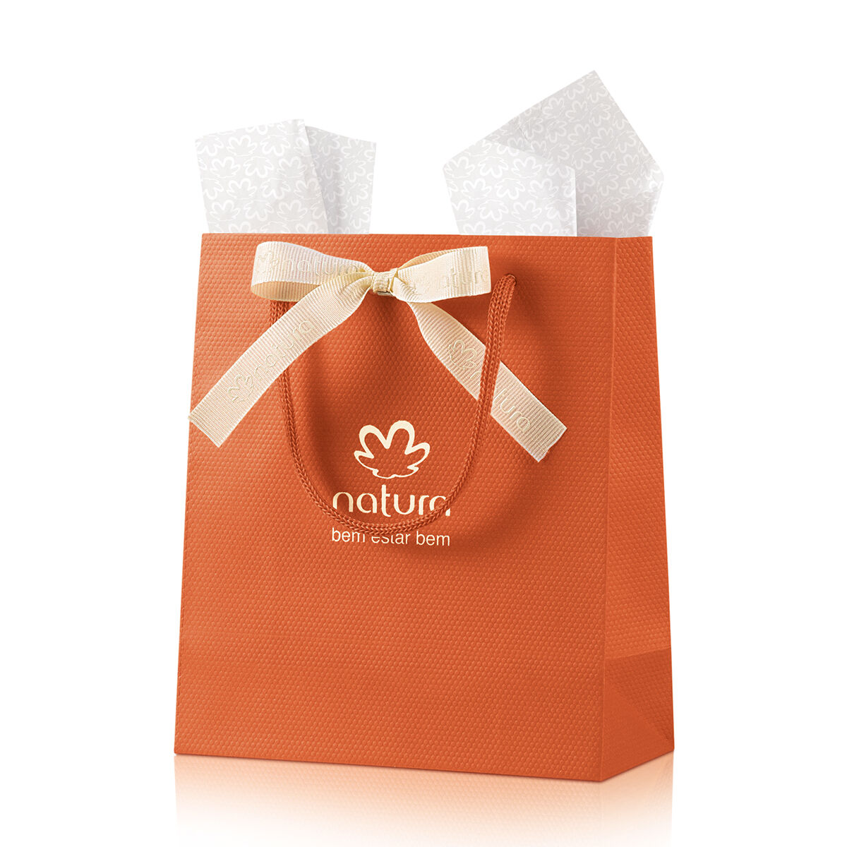 Sacola de Presente Mini com Laço 2 Sacola de Presente Mini com Laco