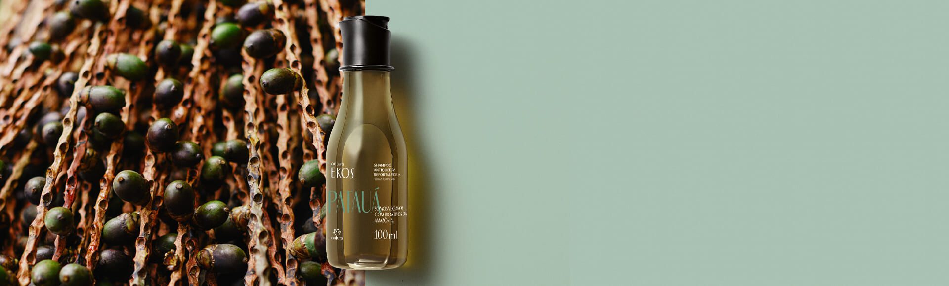 Shampoo Ekos Pataua
