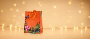 Sacola de Presente de Natal P [NATBRA-231394]
